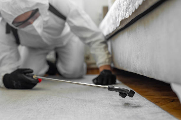 Professional Cockroach Control technician working in Carrabelle, FL