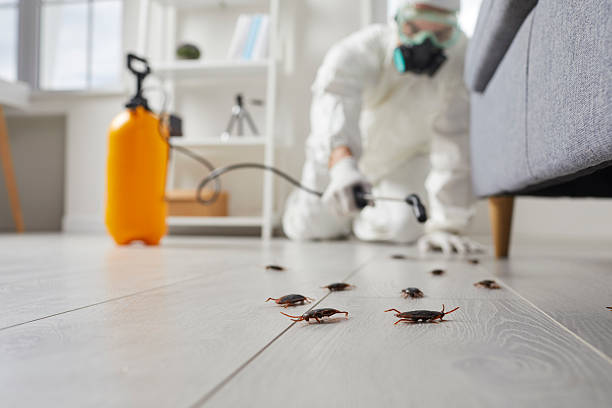 Trusted Cockroach Control service in Carrabelle, FL - Nex Pest Control